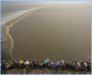 海宁天气预报40天