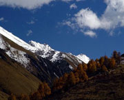 理县天气预报60天